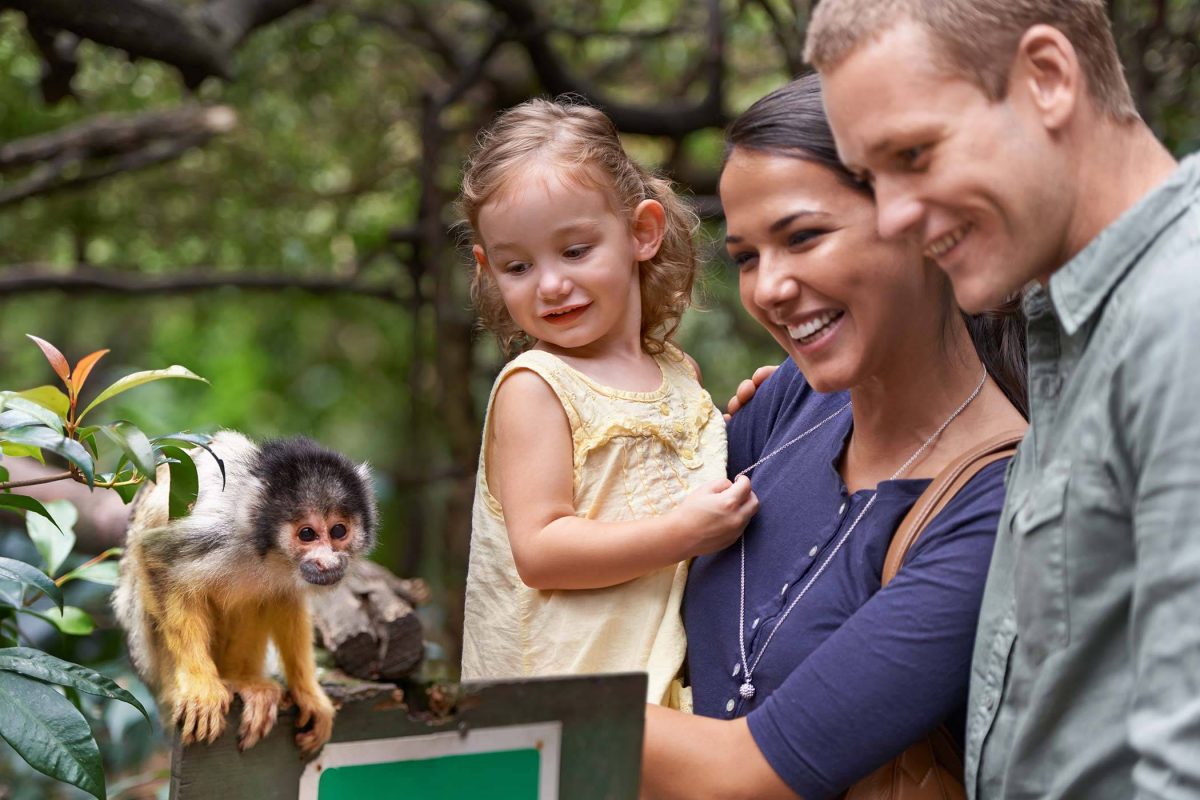Learn About Zoos & Animal Sanctuaries | Black Pine Animal Sanctuary