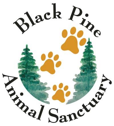 Black Pine Animal Sanctuary | Professional Animal Retirement Center (PARC),  Inc.